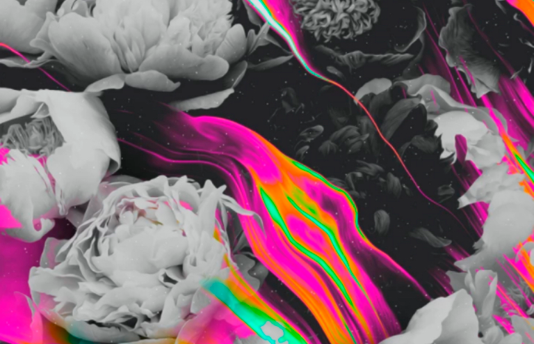 Stylized image of large roses mixed with colorful abstract lines. Image by Alycia Rainaud.